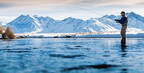 What's in Season this Winter? - City Seafood