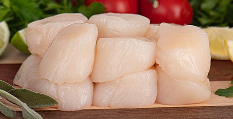 Dry vs. Wet Scallops: Why Quality Makes All the Difference - City Seafood