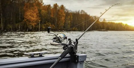 Fish in Season This Fall - City Seafood