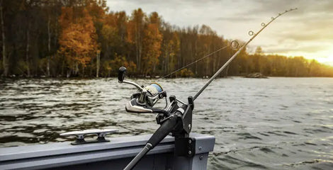 Fish in Season This Fall