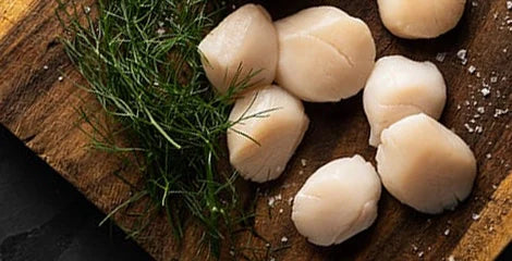 Scallops: Flavorful, Nutritious, and Easy to Love