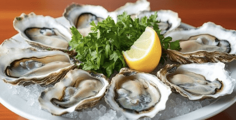 Oysters on the Half Shell - City Seafood