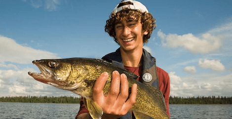 All About Walleye - City Seafood