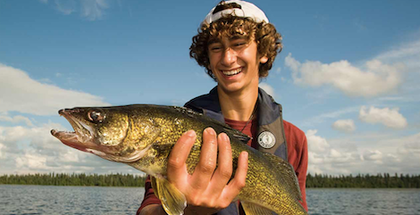 All About Walleye