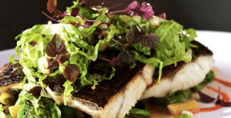 Why Barramundi is the 