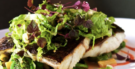 Why Barramundi is the 
