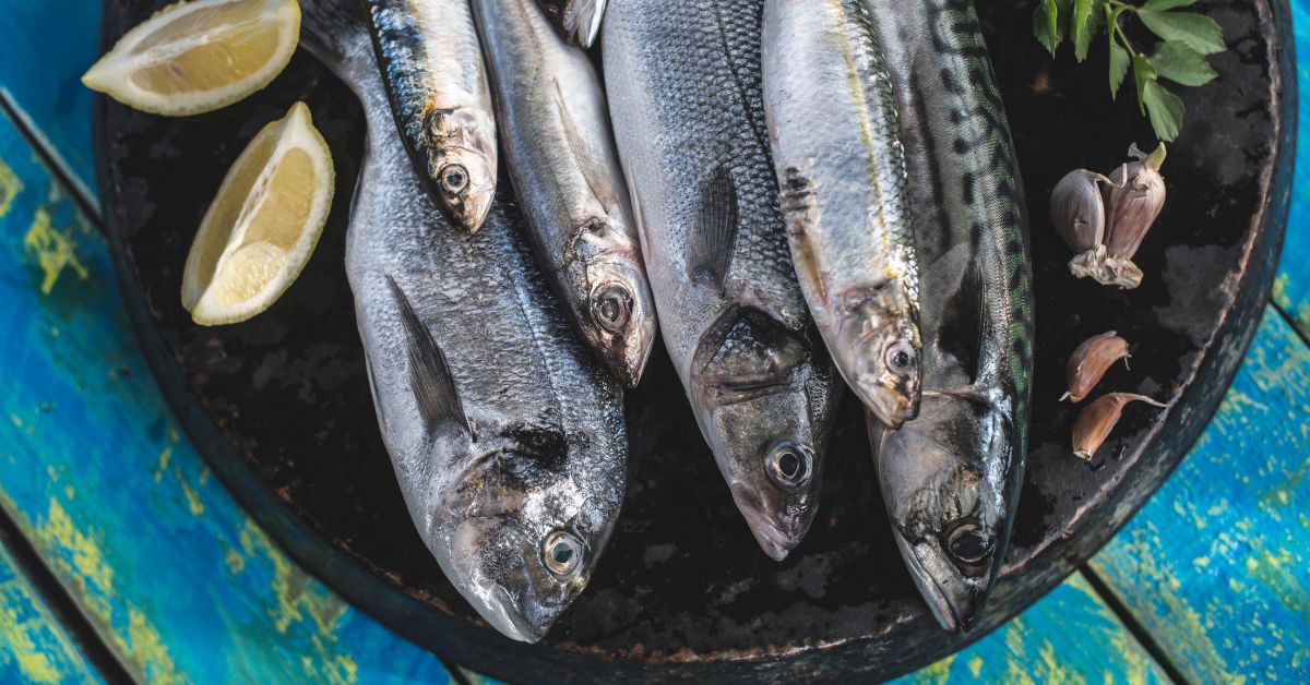 Exploring Various Ways to Prepare Fish - City Seafood