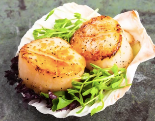 Scallops - City Seafood