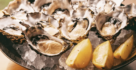 Bluepoint Oysters on the Half Shell (1 dz) - City Seafood