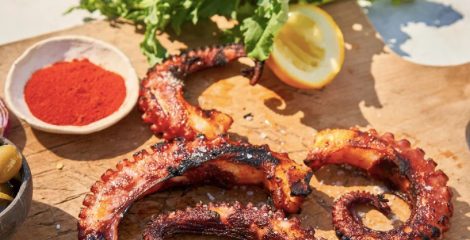 Spanish Octopus (1 lb) - City Seafood