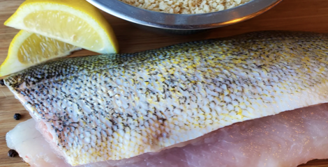 Walleye Filets (1 lb)