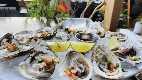 Fresh Shucked Oysters (1 lb) - City Seafood