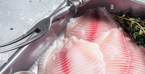 Tilapia (1 lb) - City Seafood