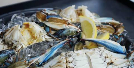 Gumbo Crabs (1 lb)