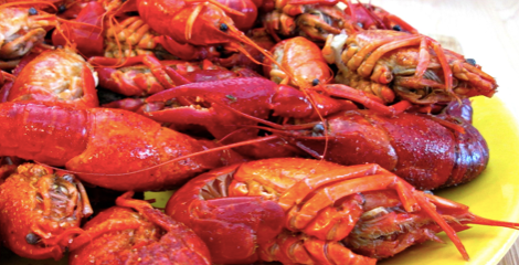 Whole Cooked Crawfish (5 lb) - City Seafood